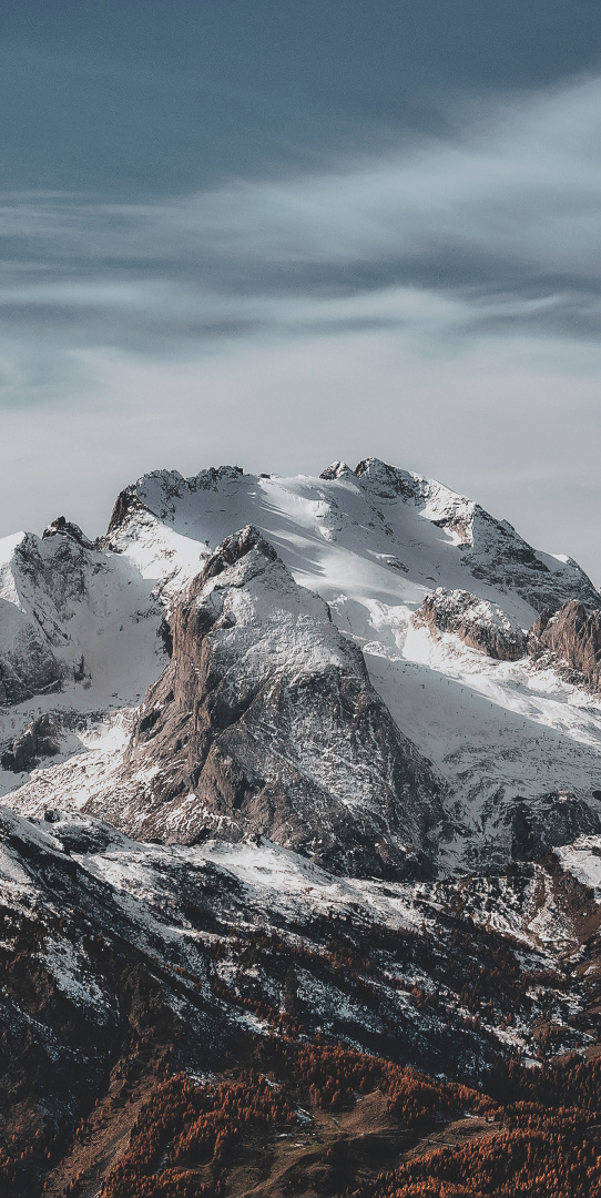 Стать нашим партнером